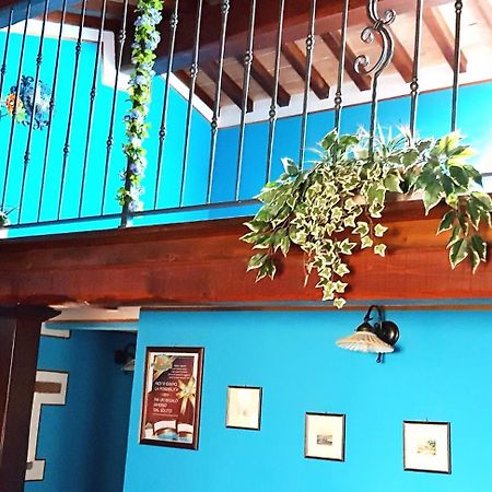 Agriturismo Arcobaleno Della Torretta 기아노델움브리아 외부 사진