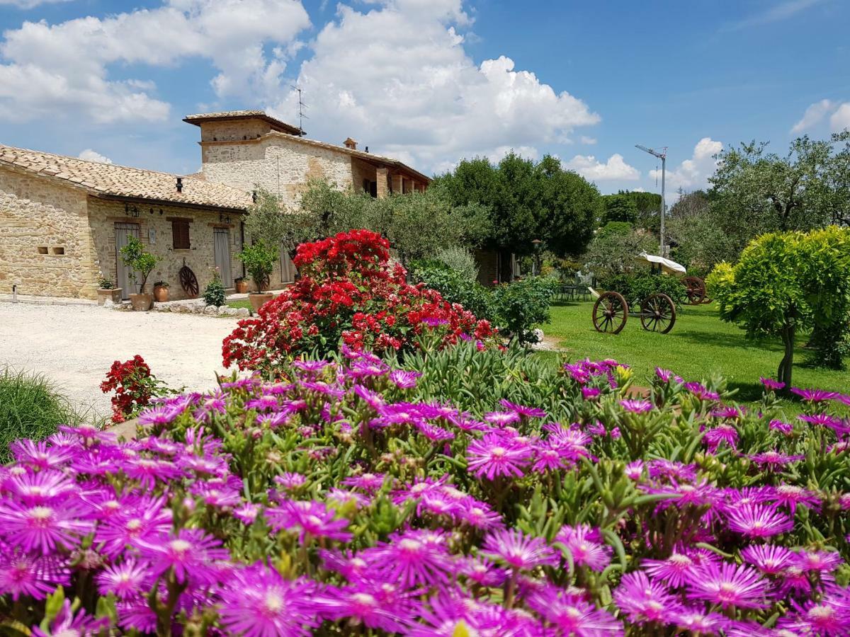 Agriturismo Arcobaleno Della Torretta 기아노델움브리아 외부 사진